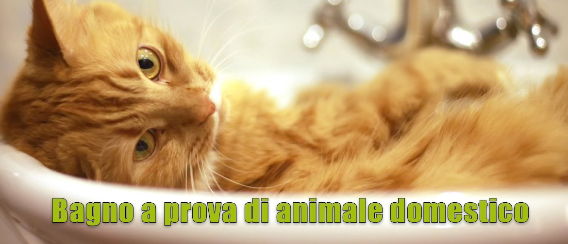 ANIMALE-DOMESTICO