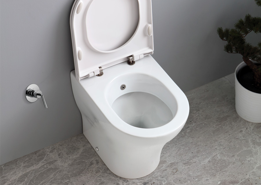 WC scarico uni funzione Bidet filomuro s/brida