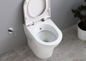 wc con funzione bidet